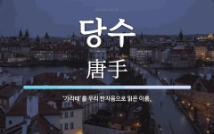 당수 뜻: ‘가라테’를 우리 한자음으로 읽은 이름.