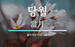 당월 뜻: 일이 있는 바로 그달.