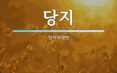 당지 뜻: ‘단지’의 방언