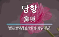 당항 뜻: 6세기에서 14세기에 중국 서북부에서 활약하던 티베트계 유목 민족. 11세기에 서하(西夏)