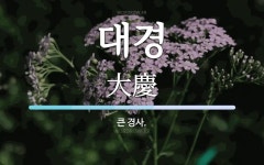 대경 뜻: 큰 경사.