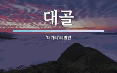 대골 뜻: ‘대가리’의 방언