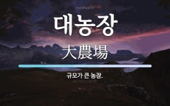 대농장 뜻: 규모가 큰 농장.