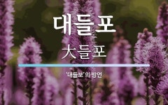 대들포 뜻: ‘대들보’의 방언