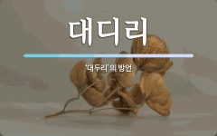 대디리 뜻: ‘대두리’의 방언