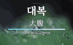 대복 뜻: 가슴 아래 배꼽 위에 있는 부분의 배.