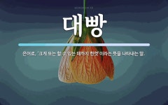 대빵 뜻: 은어로, ‘크게 또는 할 수 있는 데까지 한껏’이라는 뜻을 나타내는 말.