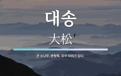 대송 뜻: 큰 소나무. 춘향목, 유주 따위가 있다.