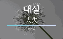 대실 뜻: 큰 손실.
