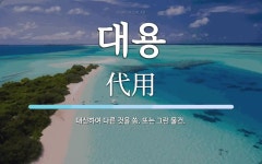 대용 뜻: 대신하여 다른 것을 씀. 또는 그런 물건.