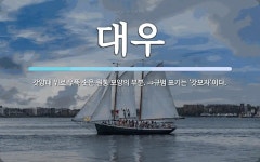 대우 뜻: 갓양태 위로 우뚝 솟은 원통 모양의 부분. ⇒규범 표기는 ‘갓모자’이다.