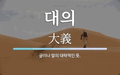 대의 뜻: 글이나 말의 대략적인 뜻.