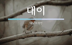 대이 뜻: ‘대님’의 방언