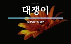 대쟁이 뜻: ‘대장장이’의 방언