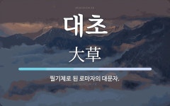 대초 뜻: 필기체로 된 로마자의 대문자.