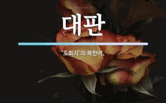 대판 뜻: ‘도회지’의 북한어.