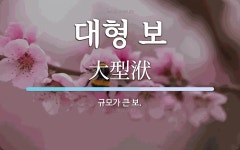대형 보 뜻: 규모가 큰 보.