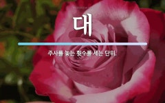 대 뜻: 주사를 놓는 횟수를 세는 단위.