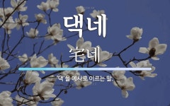 댁네 뜻: ‘댁’을 예사로 이르는 말.