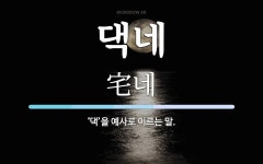 댁네 뜻: ‘댁’을 예사로 이르는 말.