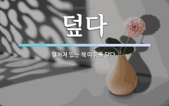 덮다 뜻: 펼쳐져 있는 책 따위를 닫다.