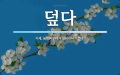 덮다 뜻: 기세, 능력 따위에서 앞서거나 누르다.