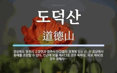 도덕산 뜻: 경상북도 영천시 고경면과 경주시 안강읍의 경계에 있는 산. 산 정상에서 동해를 조망할 수 도덕산 뜻: 경상북도 영천시 고경면과... 
