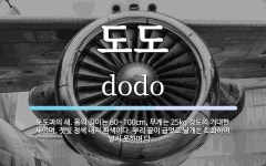 도도 뜻: 도도과의 새. 몸의 길이는 80~100cm, 무게는 25kg 정도의 거대한 새이며, 잿빛 도도 뜻: 도도과의 새. 몸의 길이는 80~100cm, 무게는... 
