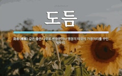 도듬 뜻: 화류(樺榴) 같은 좋은 나무로 벽장문이나 맹장지 따위의 가장자리를 꾸민 테두리.