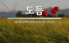 도듬 뜻: 일을 공동으로 맡아서 함께 하는 방식. 또는 그런 단위.