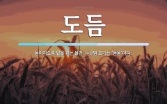 도듬 뜻: 높아지도록 밑을 괴는 물건. ⇒규범 표기는 ‘돋움’이다.