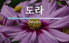 도라 뜻: ‘도랑’의 방언
