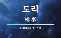 도리 뜻: 복숭아와 자두. 또는 그 꽃.