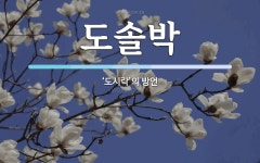 도솔박 뜻: ‘도시락’의 방언