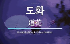 도화 뜻: 한 도(道)를 상징하는 꽃. 경기도는 개나리이다.