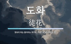 도화 뜻: 헛되이 피는 꽃이라는 뜻으로, ‘수꽃’을 달리 이르는 말.