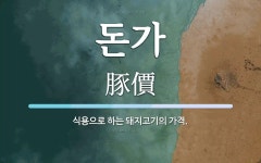 돈가 뜻: 식용으로 하는 돼지고기의 가격.