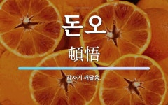 돈오 뜻: 갑자기 깨달음.