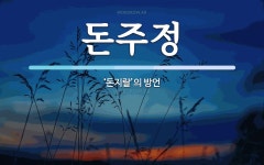 돈주정 뜻: ‘돈지랄’의 방언