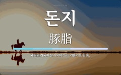 돈지 뜻: 돼지의 가죽과 살 사이에 있는 기름기로 된 층.