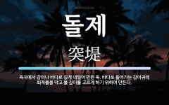 돌제 뜻: 육지에서 강이나 바다로 길게 내밀어 만든 둑. 바다로 들어가는 강어귀에 퇴적물을 막고 물 돌제 뜻: 육지에서 강이나...
