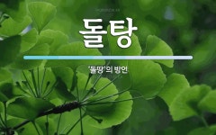 돌탕 뜻: ‘돌땅’의 방언