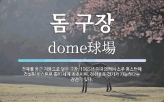 돔 구장 뜻: 전체를 둥근 지붕으로 덮은 구장. 1965년 미국의 텍사스주 휴스턴에 건설된 아스트로 돔이