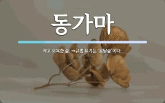 동가마 뜻: 작고 오목한 솥. ⇒규범 표기는 ‘옹달솥’이다.
