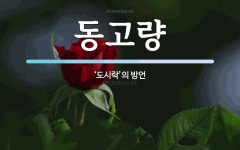 동고량 뜻: ‘도시락’의 방언