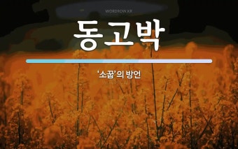 동고박 뜻: ‘소꿉’의 방언