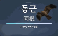 동근 뜻: 그 자라난 뿌리가 같음.