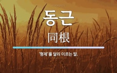 동근 뜻: ‘형제’를 달리 이르는 말.