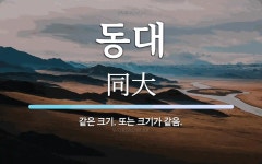 동대 뜻: 같은 크기. 또는 크기가 같음.