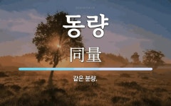 동량 뜻: 같은 분량.